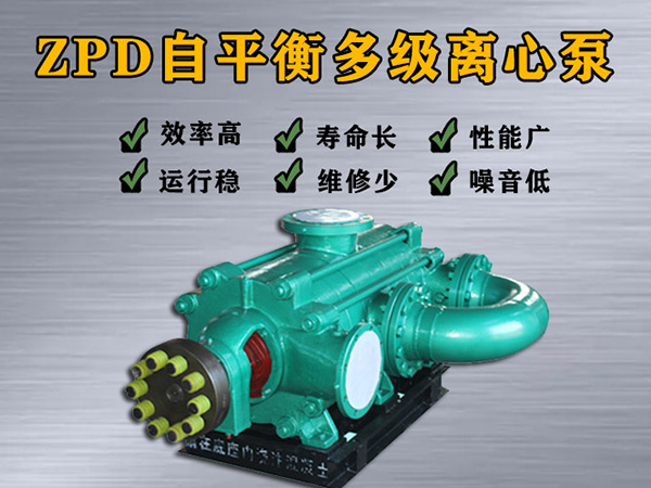 zpd280-43×（2-9）自平衡多级离心泵